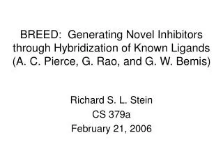 Richard S. L. Stein CS 379a February 21, 2006