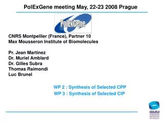PolExGene meeting May, 22-23 2008 Prague