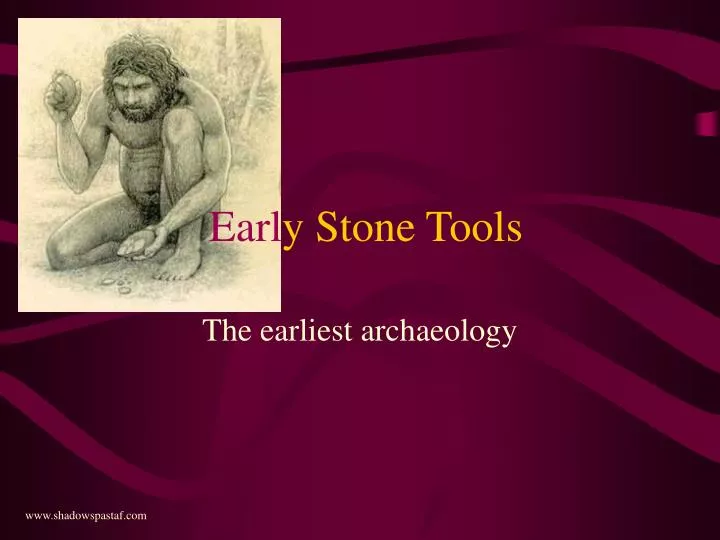 earl y stone tools
