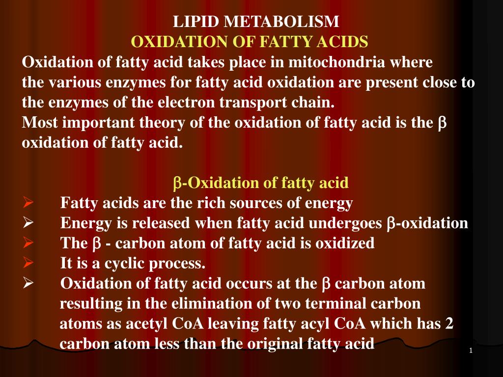 PPT - LIPID METABOLISM OXIDATION OF FATTY ACIDS PowerPoint Presentation ...