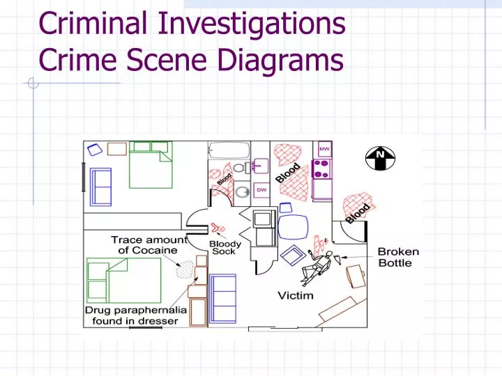 criminal investigations crime scene diagrams