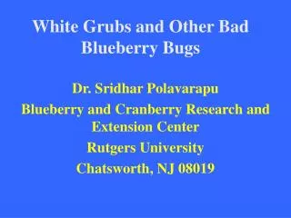 White Grubs and Other Bad Blueberry Bugs