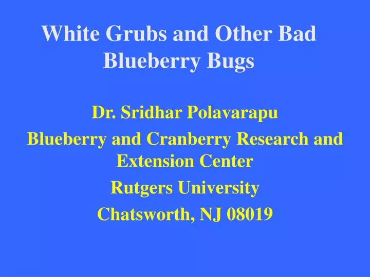 white grubs and other bad blueberry bugs