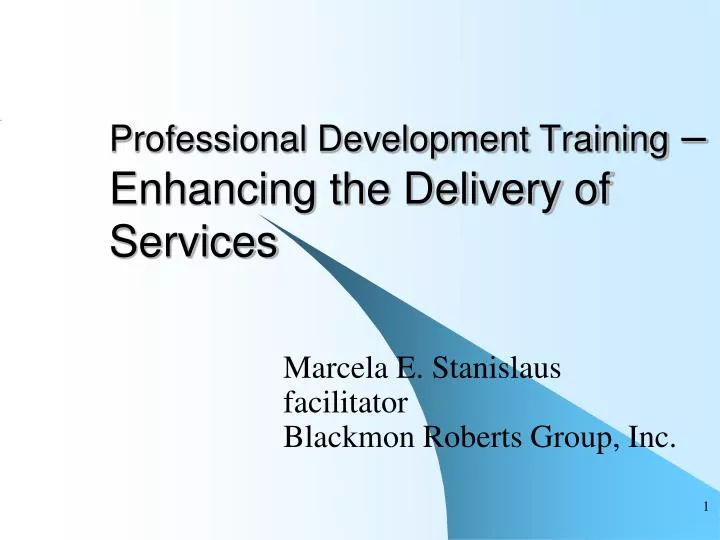 professional development training enhancing the delivery of services