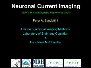 Peter A. Bandettini Unit on Functional Imaging Methods Laboratory of Brain and Cognition &amp;