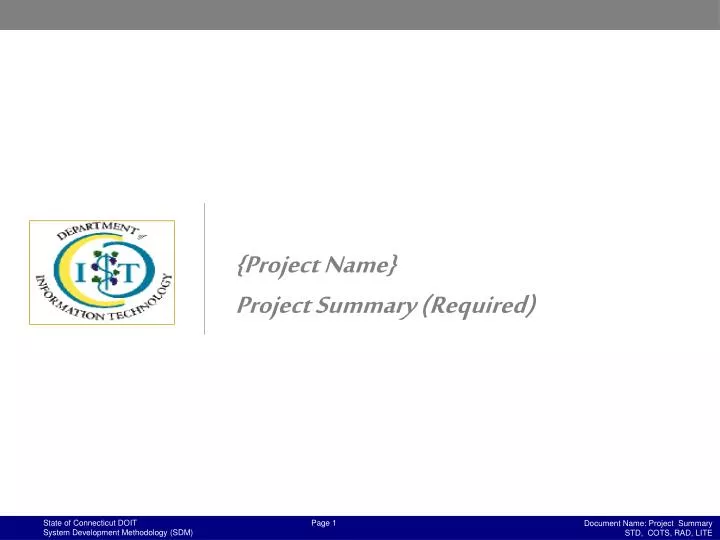 project name project summary required