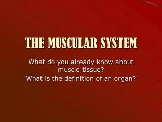 THE MUSCULAR SYSTEM