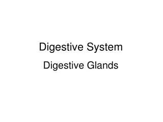 Digestive System Digestive Glands