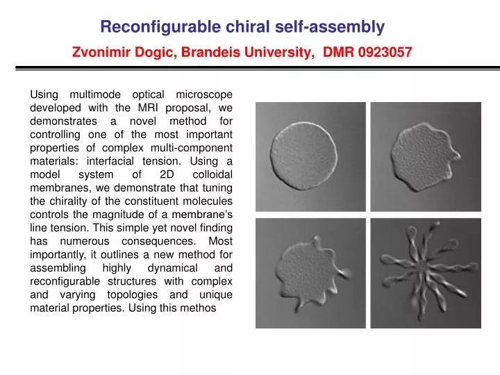 reconfigurable chiral self assembly zvonimir dogic brandeis university dmr 0923057