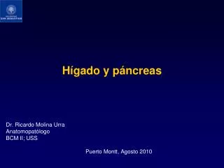 h gado y p ncreas