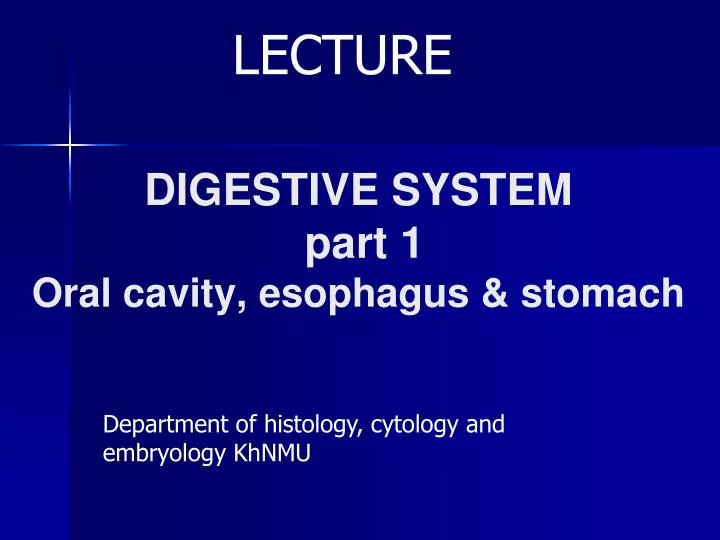 digestive system part 1 oral cavity esophagus stomach