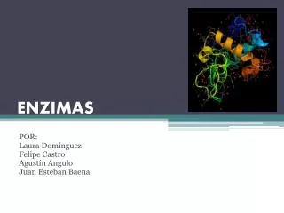 enzimas