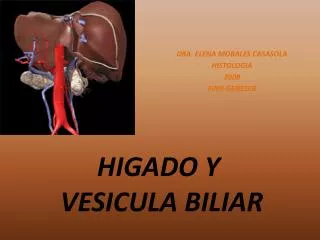 higado y vesicula biliar