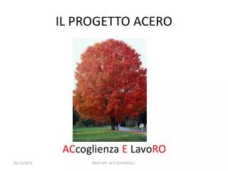 il progetto acero