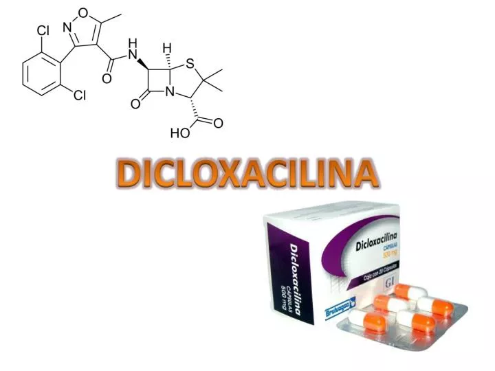 dicloxacilina