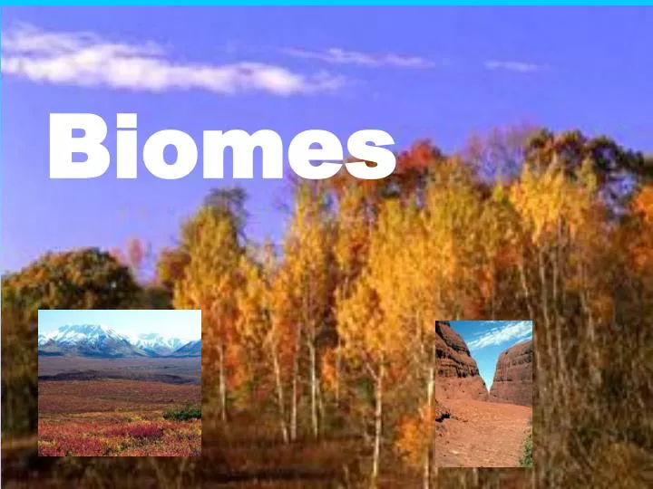 PPT   Biomes PowerPoint Presentation, Free Download   ID:6257836