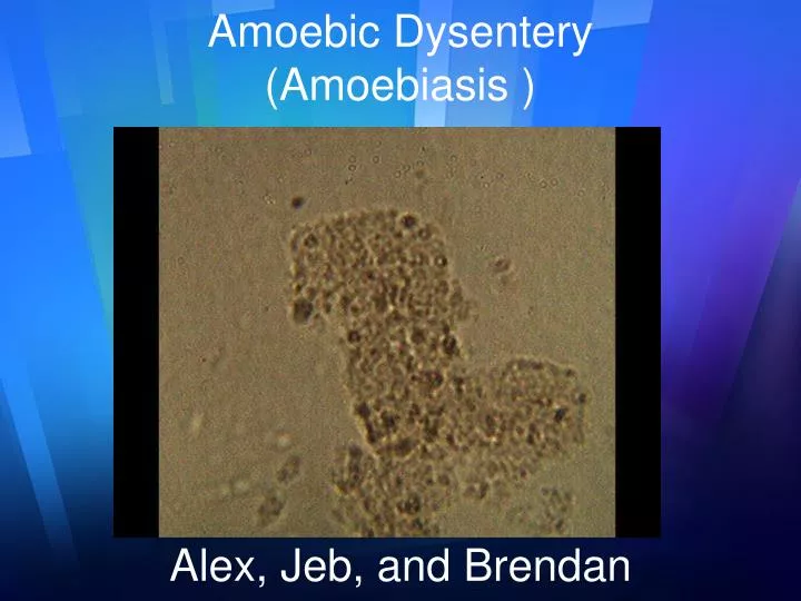 amoebic dysentery amoebiasis alex jeb and brendan