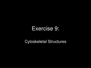 exercise 9