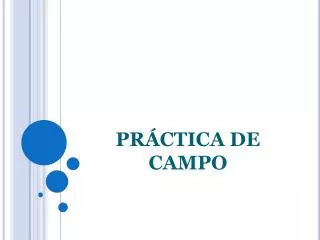 pr ctica de campo