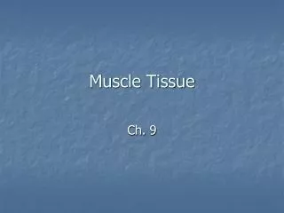 muscle tissue
