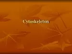 Cytoskeleton - slide 1