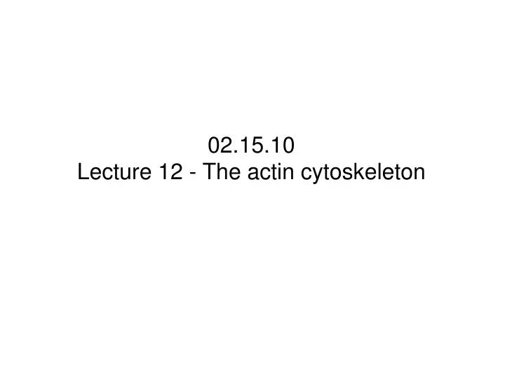 02 15 10 lecture 12 the actin cytoskeleton