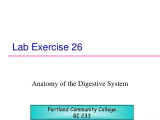 Lab Exercise 26