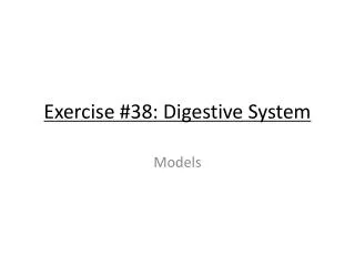 Exercise #38: Digestive System