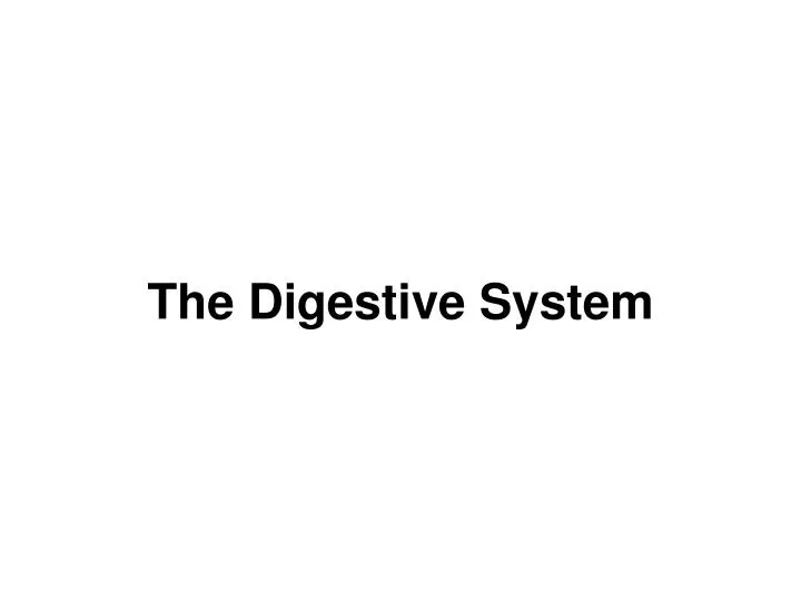 the digestive system