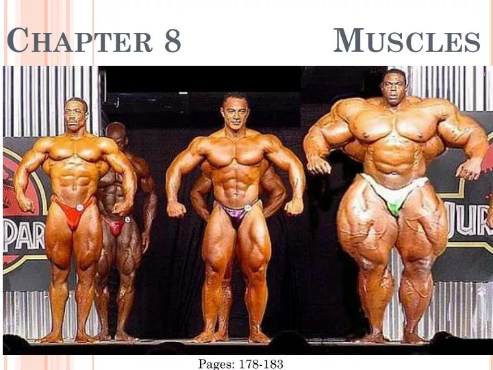 chapter 8 muscles