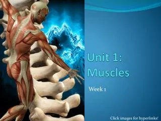U nit 1: Muscles