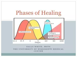 Phases of Healing