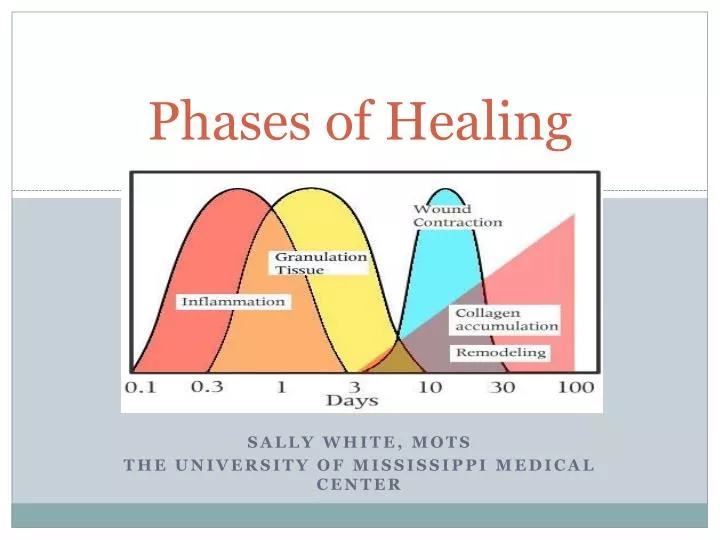 phases of healing
