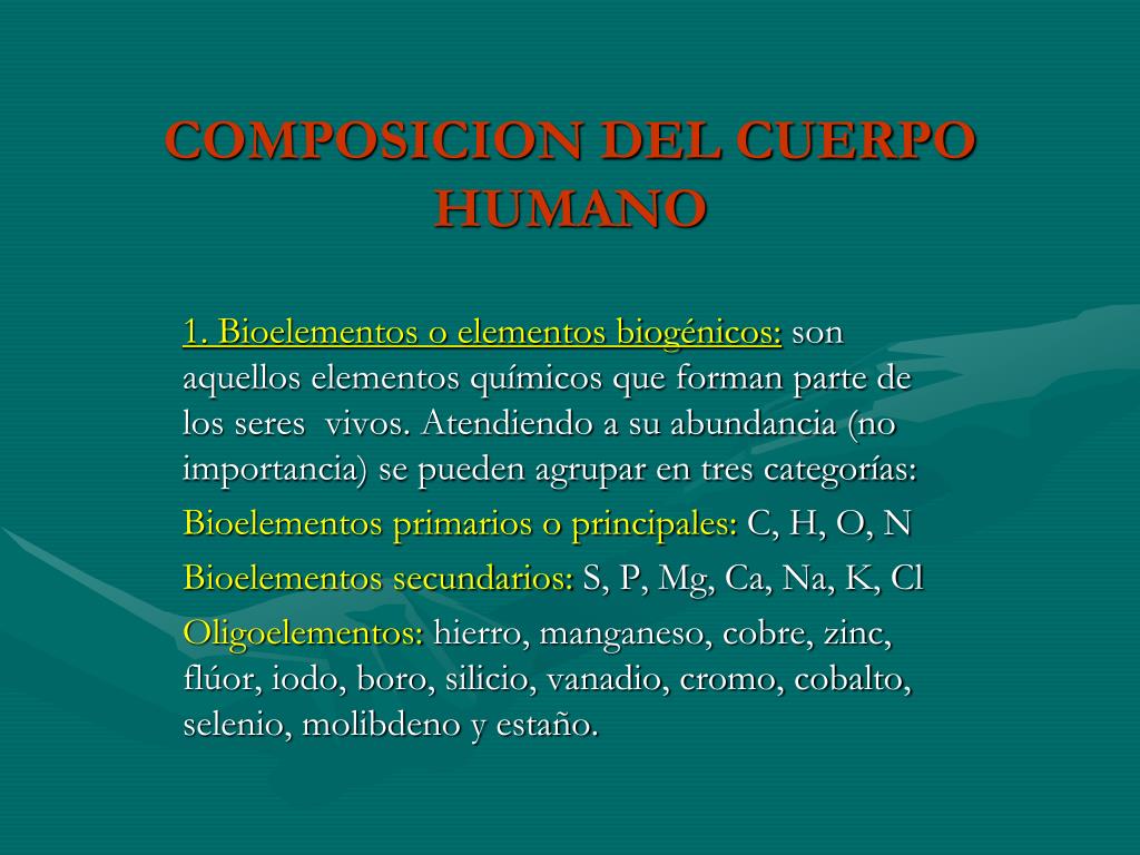 PPT - COMPOSICION DEL CUERPO HUMANO PowerPoint Presentation, free ...