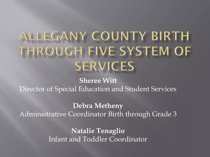 allegany county birth through five system of services
