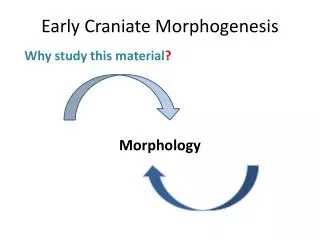 Early Craniate Morphogenesis