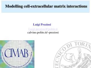 Modelling cell-extracellular matrix interactions