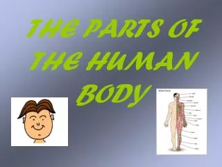 THE PARTS OF THE HUMAN BODY