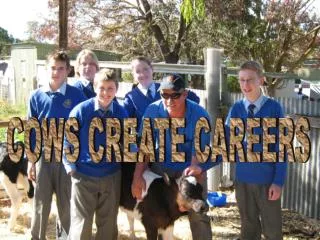 COWS CREATE CAREERS