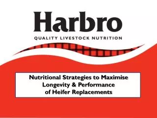 Nutritional Strategies to Maximise Longevity &amp; Performance of Heifer Replacements