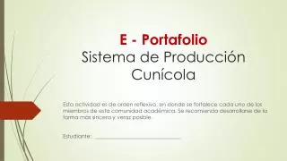 e portafolio sistema de producci n cun cola