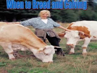 When to Breed and Calving
