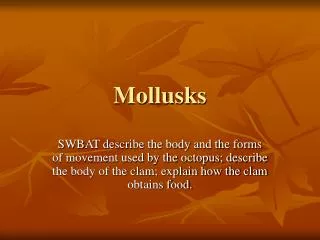 mollusks