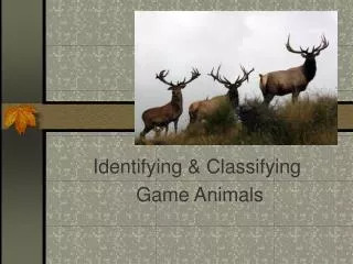 Identifying &amp; Classifying Game Animals