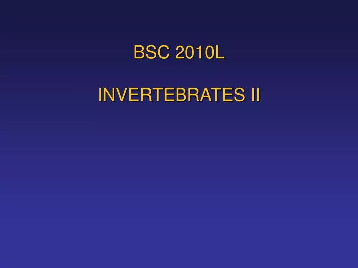 bsc 2010l invertebrates ii