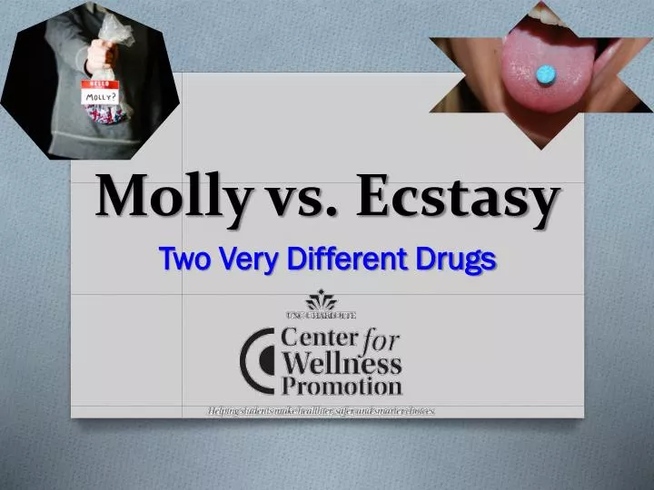 molly vs ecstasy