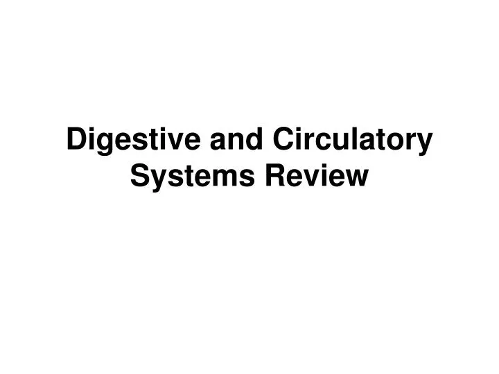 digestive and circulatory systems review