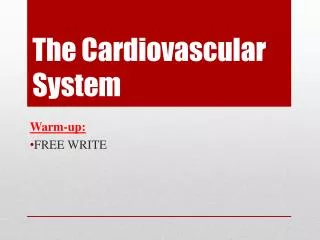 The Cardiovascular System