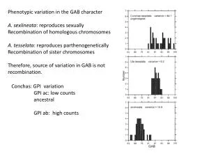 Phenotypic variation in the GAB character A. sexlineata : reproduces sexually