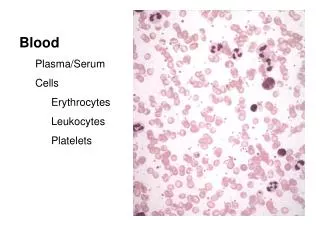 Blood Plasma/Serum Cells Erythrocytes Leukocytes Platelets